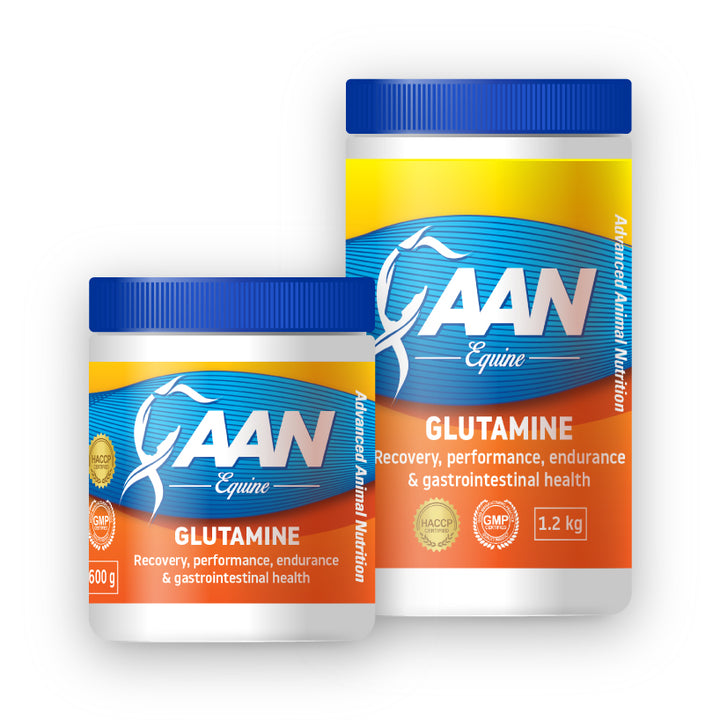 Aan Glutamine