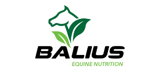 carousel logo 10