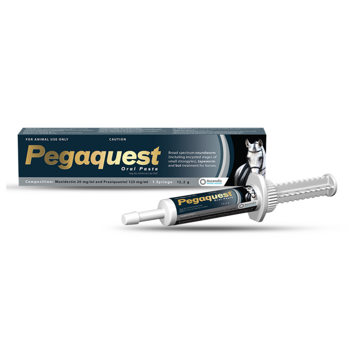 Pegaquest