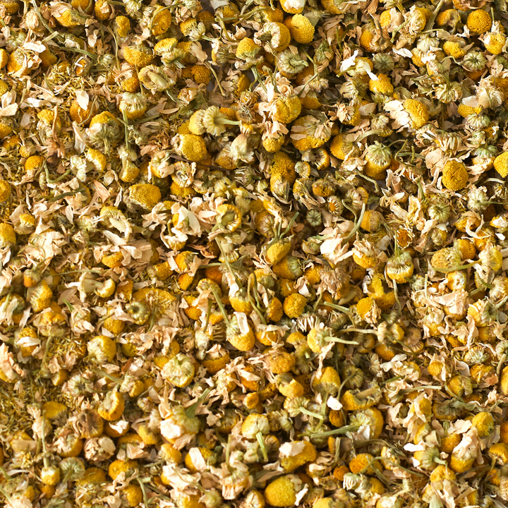 Chamomile Flowers Equi-Fortress