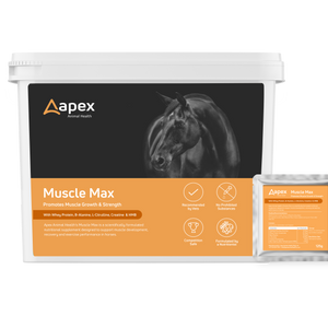Apex Muscle Max