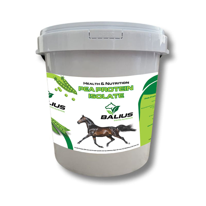 Pea Protein Isolate