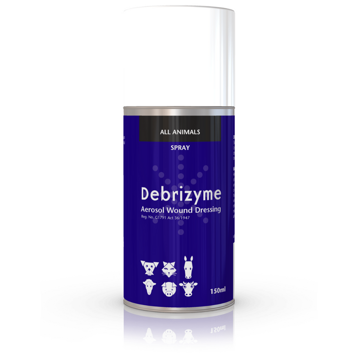 Debrizyme 150ML