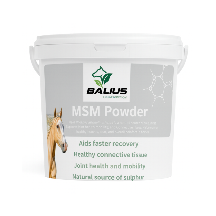Balius MSM Powder