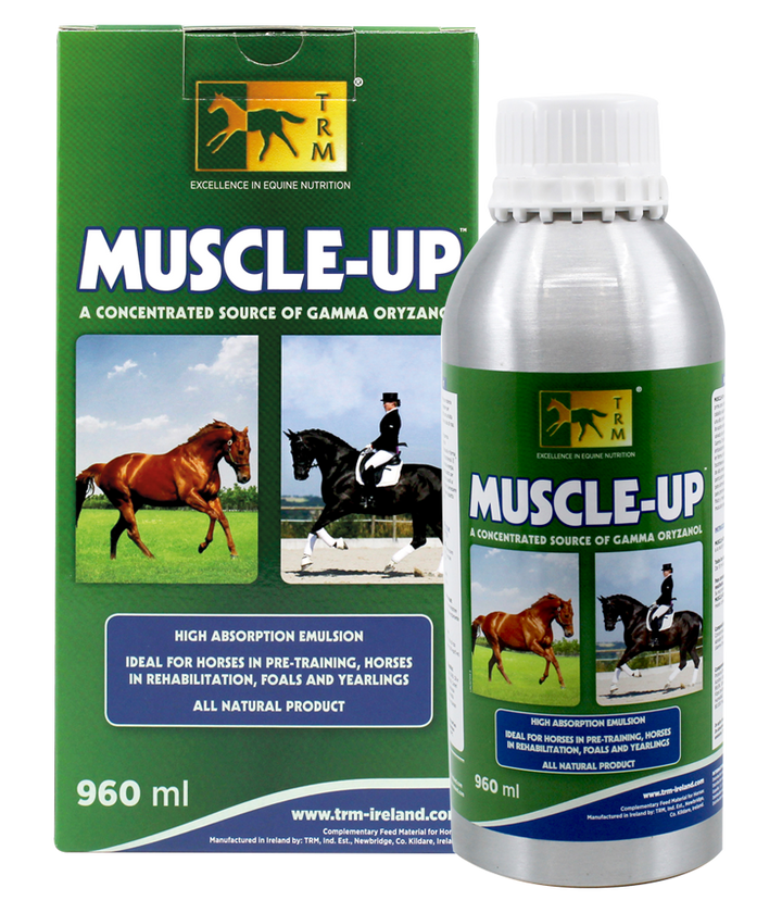 Muscle Up