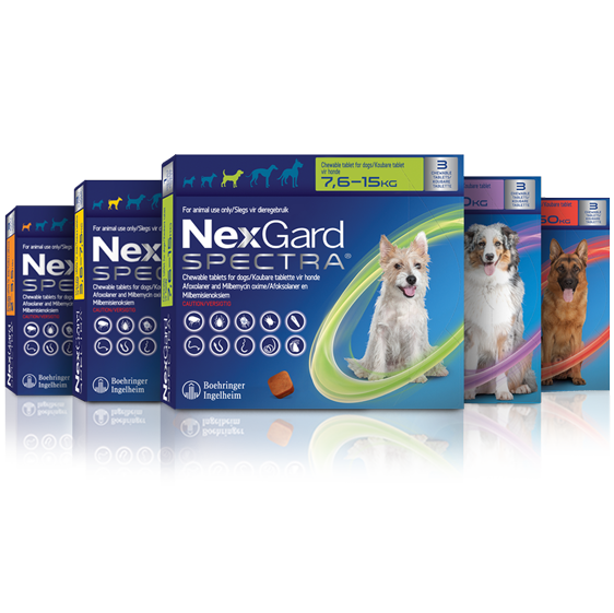 NexGard SPECTRA®