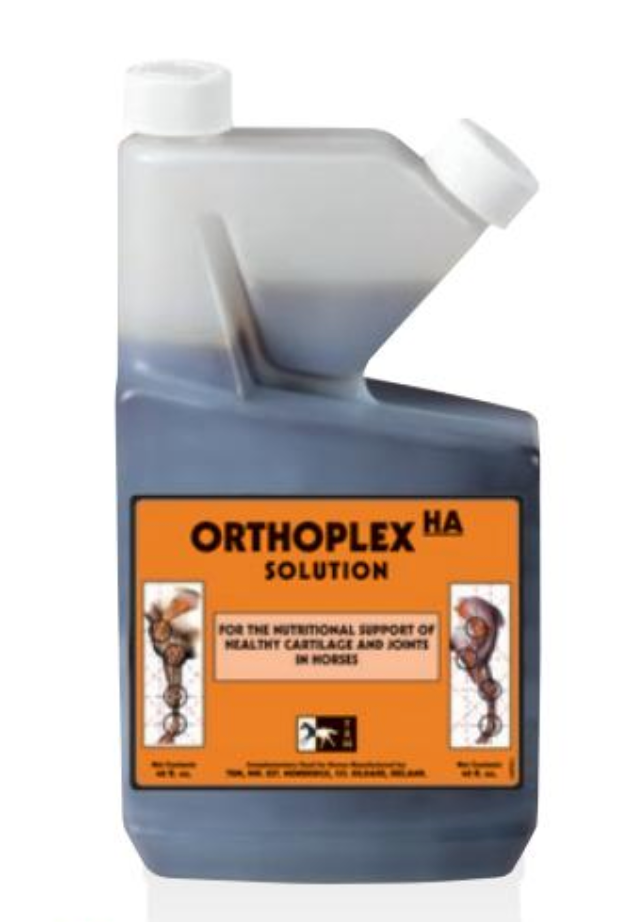Orthoplex HA for Horses