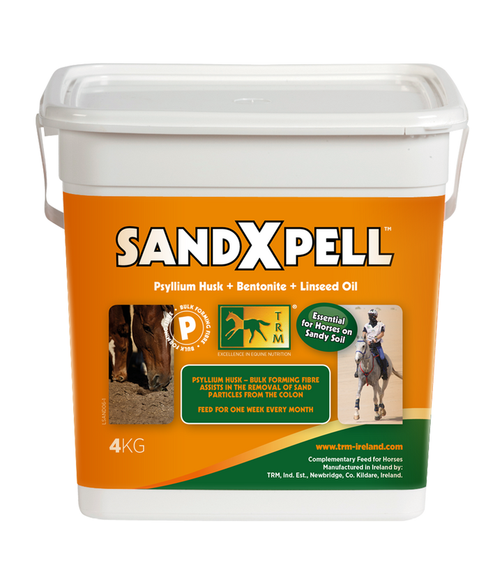 SandXpell