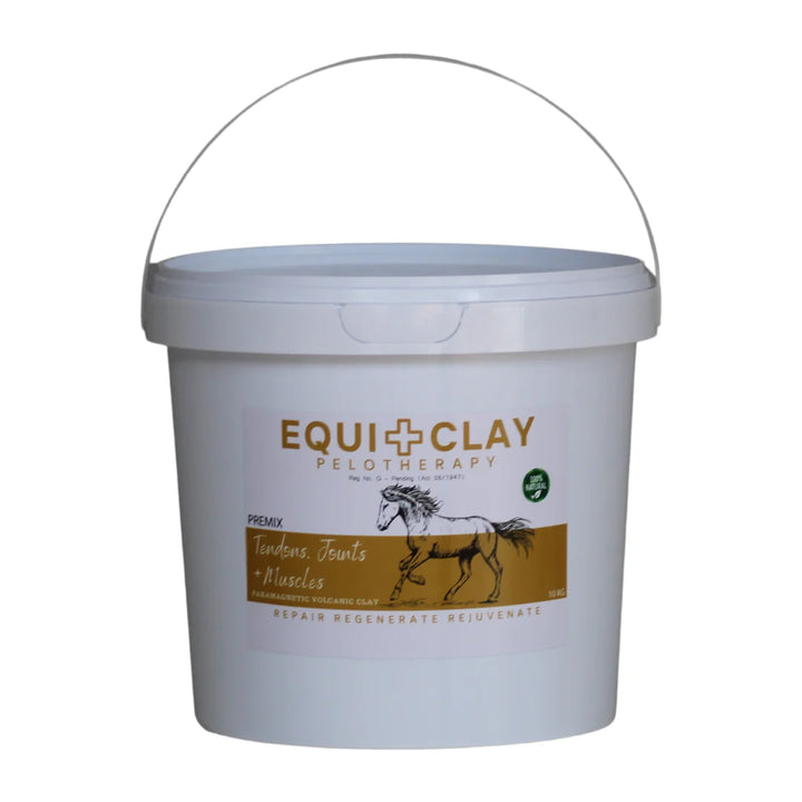 EquiClay Tendons, Joints and Muscle Clay