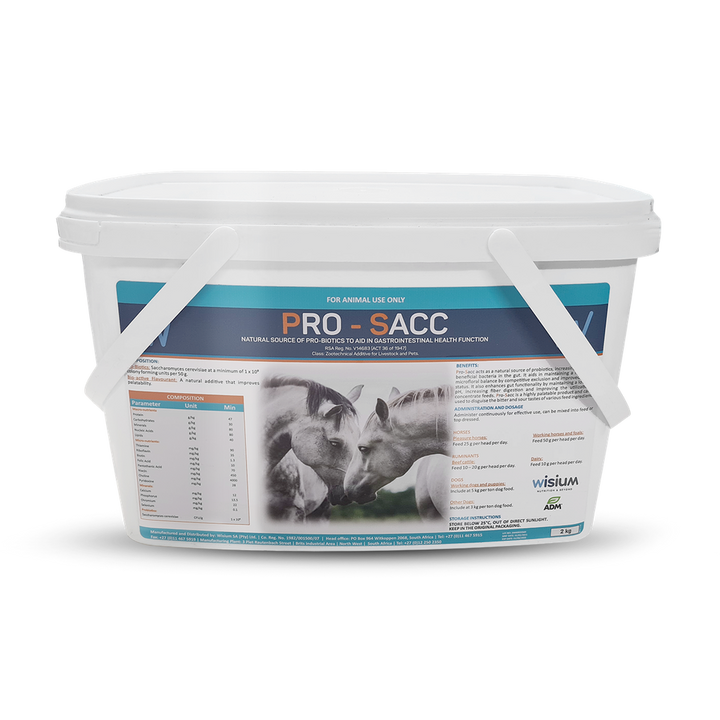 Pro-Sacc