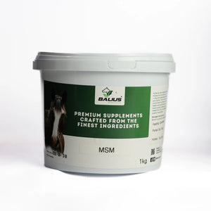 Balius MSM Powder