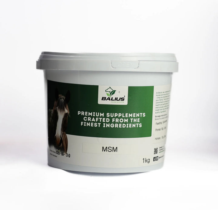 Balius MSM Powder